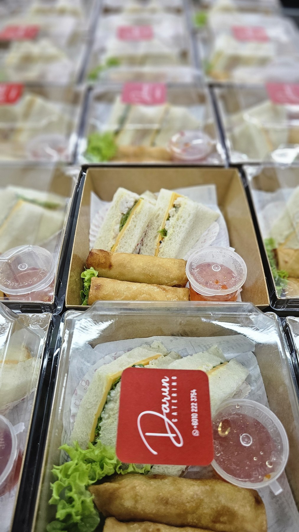 Individually boxed sandwiches and spring rolls with dipping sauce