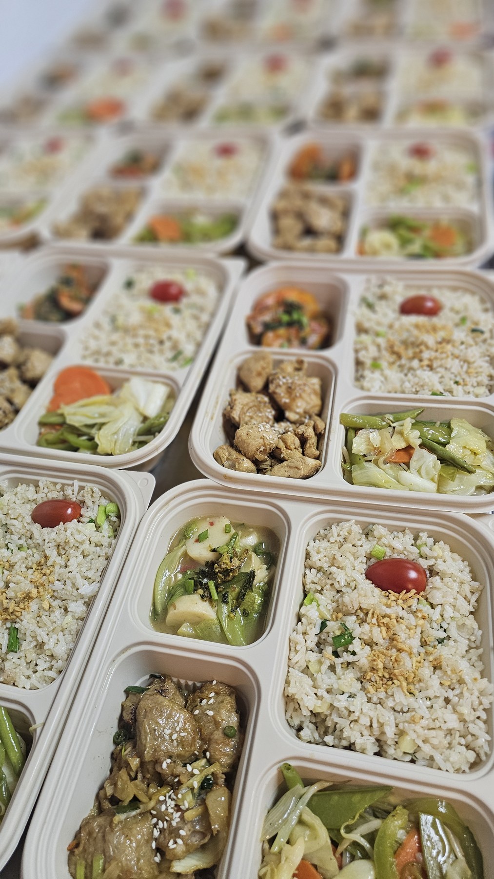 Prepared bento boxes with rice, vegetables and side dishes