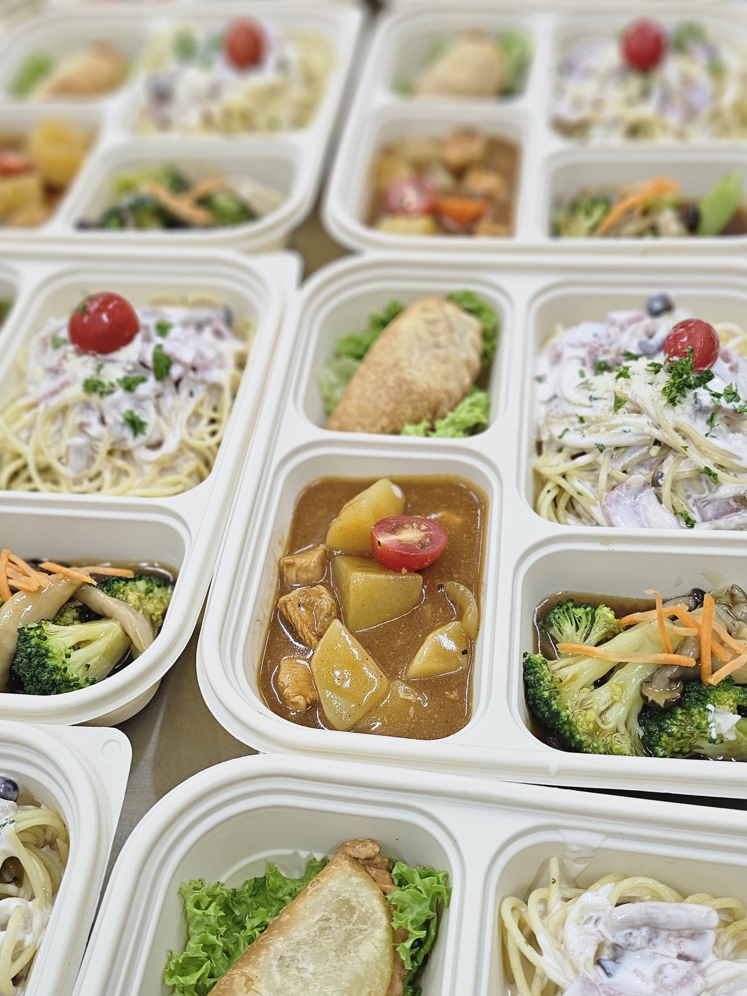 A selection of prepared bento boxes with noodles, rice and vegetables